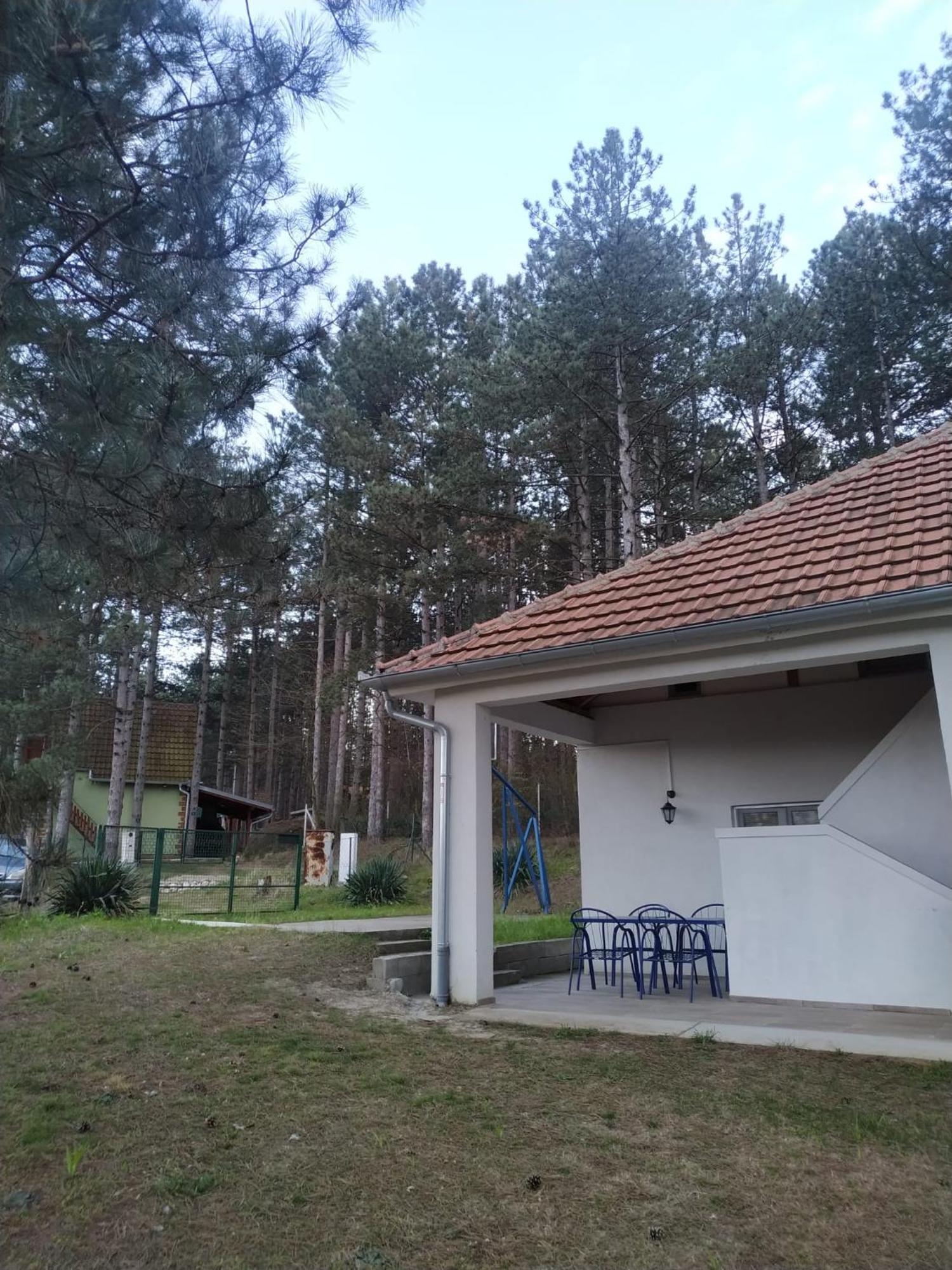 Kuca Za Odmor "Crni Bor" Apartment Golubac Luaran gambar